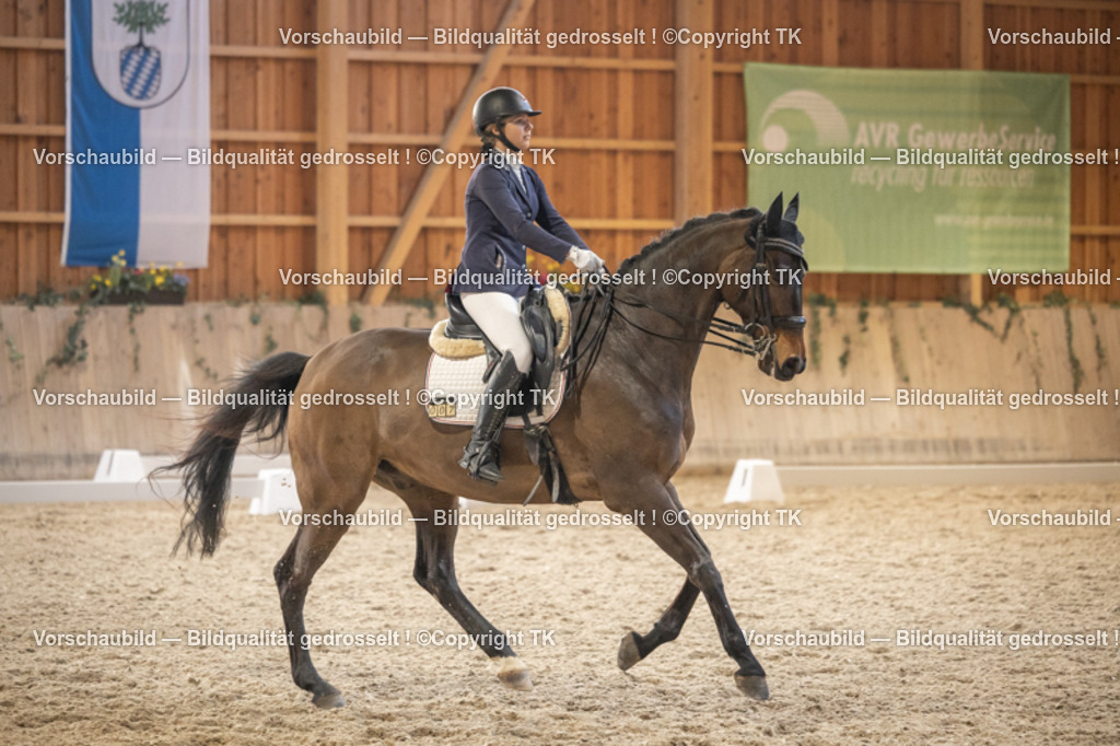 _D5A6642 | Emotionale Pferde- & People-Fotografie rund um Heidelberg, Leimen & Umgebung. Natürliche Fotos von Pferd, Mensch & Familie. Jetzt Termin sichern!