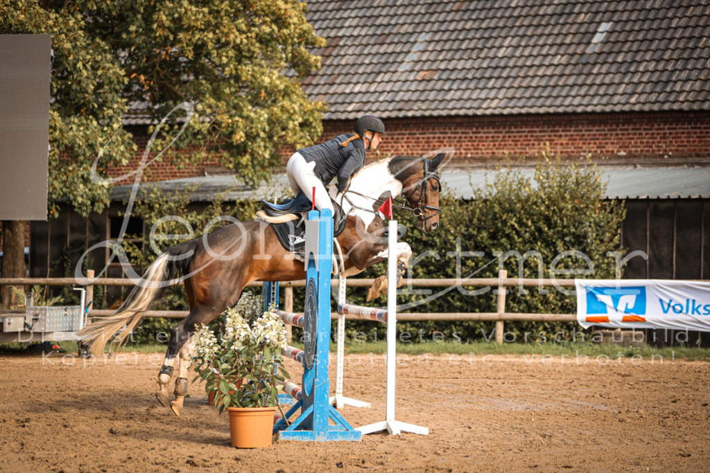 09.SaSpA200219 | Leoni Ertmer Photography - Realisiert mit Pictrs.com