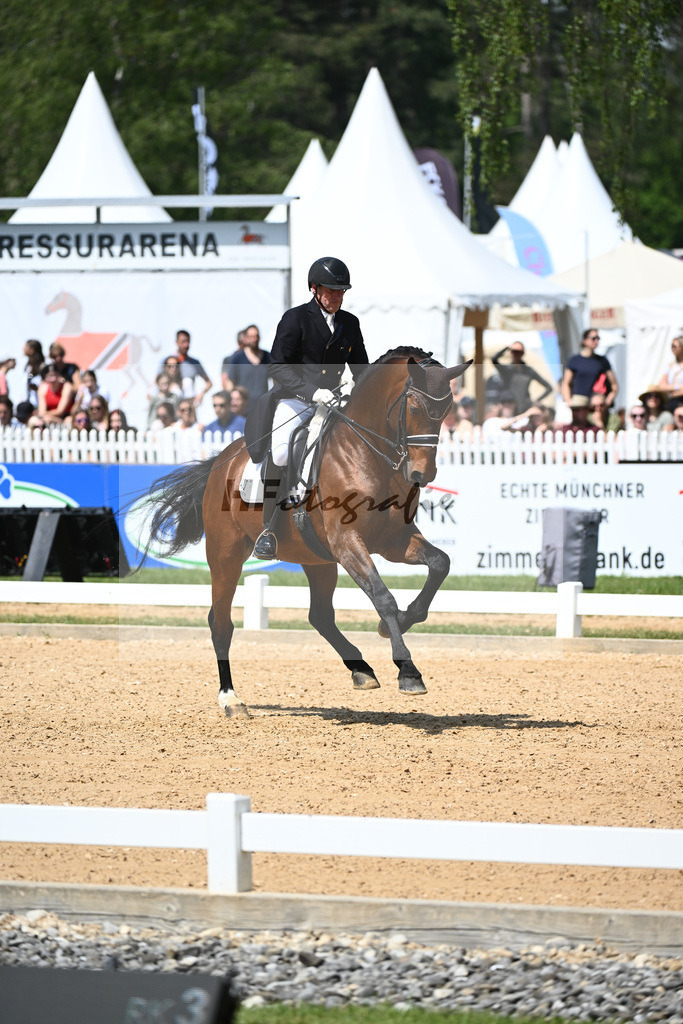 Eichhorn_Valentino_12243764 | hf-fotografie - Realisiert mit Pictrs.com