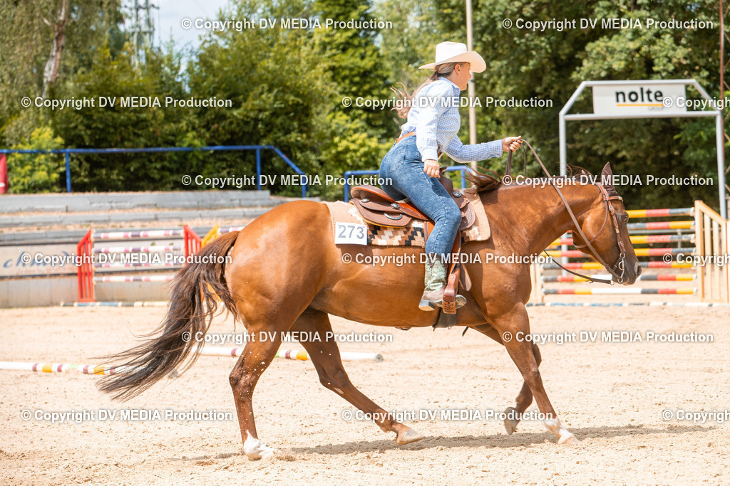 EWP_6258 | dv-media-shop - Realisiert mit Pictrs.com