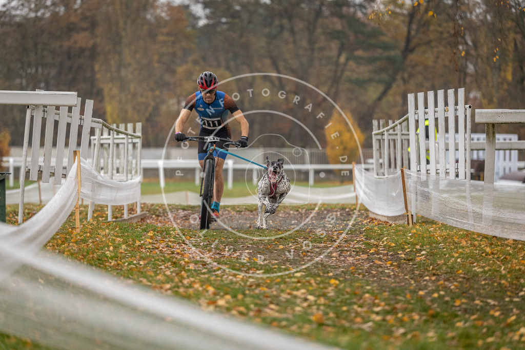 CaniXpix_DV3A7511 | Hundefotografie, Tierfotograf, Pfotenfotografie, Fotoshooting Hund, Hunde Portrait, Hundesport, Hundeportraits, Heideshooting, Hunde, Sportfotograf, Hundefotograf, Turnierhundsport, THS,  - Realisiert mit Pictrs.com