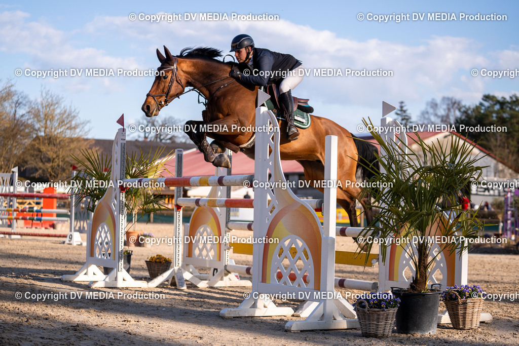 Kranichstein Tag 2-1149 | dv-media-shop - Realisiert mit Pictrs.com
