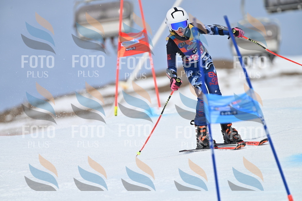 BGV_1660 | holidayphoto