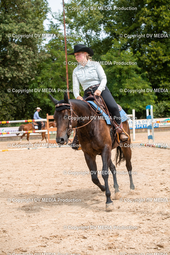 EWP_6092 | dv-media-shop - Realisiert mit Pictrs.com