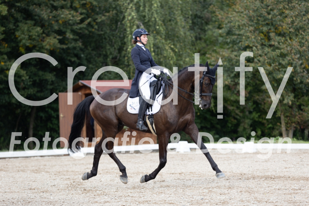 IMG_4917 | Creatify Fotografie