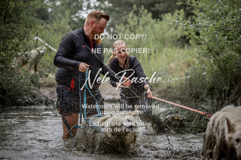nelerasche_so0800-0930_459 | nelerasche