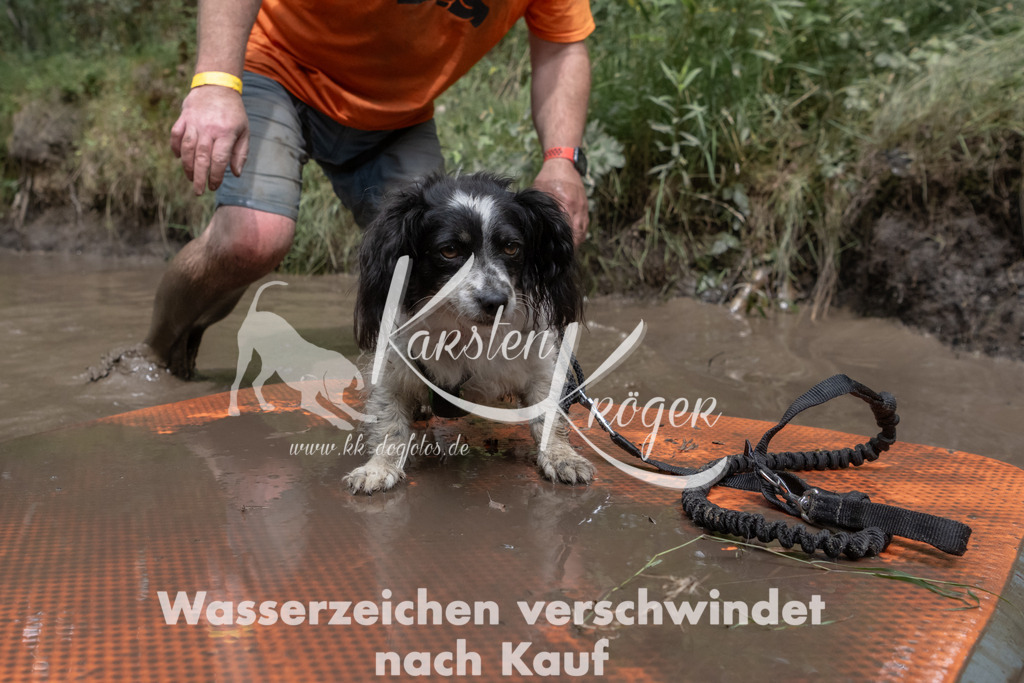 1347_ZZ95930 | kk-dogfotos