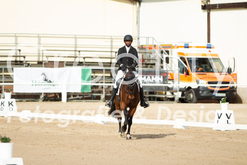 IMG_0481 | Creatify Fotografie