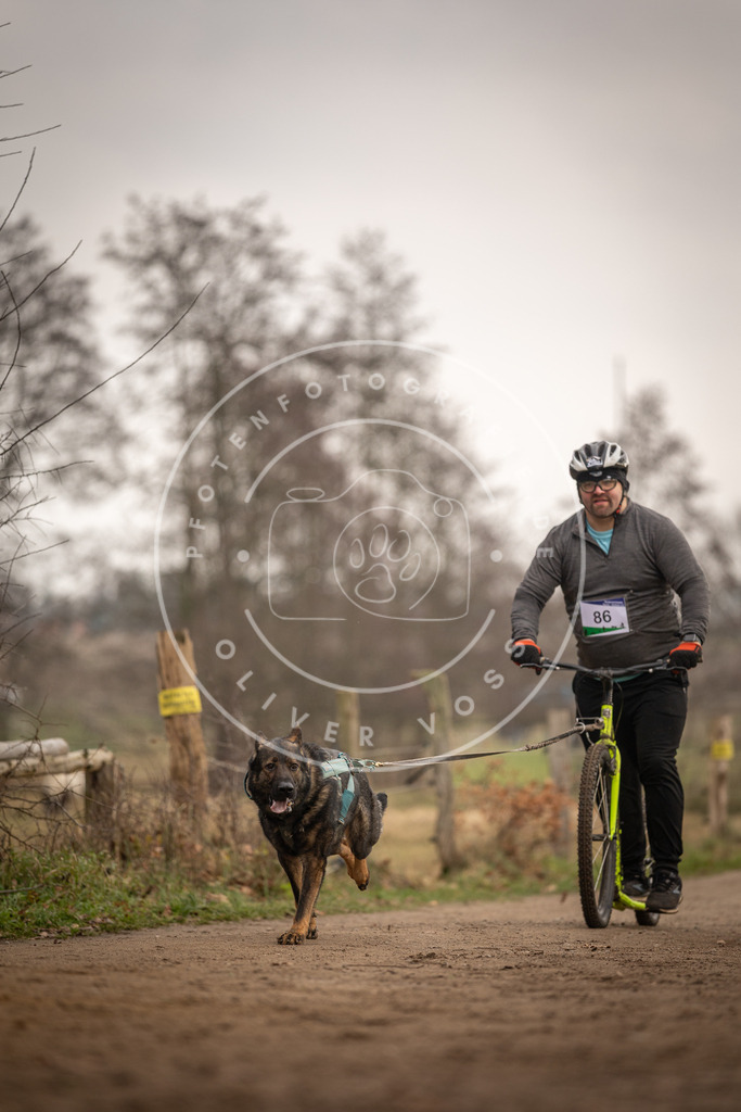 Pfotenfotografie_DV3A4107 | Hundefotografie, Tierfotograf, Pfotenfotografie, Fotoshooting Hund, Hunde Portrait, Hundesport, Hundeportraits, Heideshooting, Hunde, Sportfotograf, Hundefotograf, Turnierhundsport, THS,  - Realisiert mit Pictrs.com