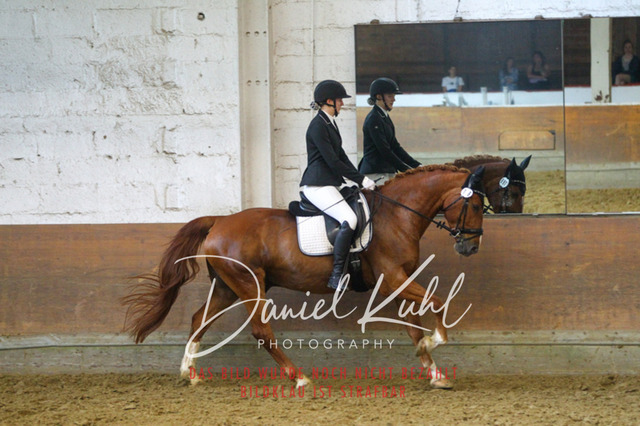 DKP43676 | Turniersportfotografie; Pferdefotografie; Dressurfotografie