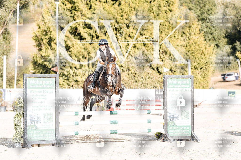 CK909502 | Turnierfotografie Pferdefotografie Trier Rheinland-Pfalz Pferdesport Reitsport Tierfotografie Sportfotografie Pferdevideo Pferdevideografie Equestrianvideography equestrianphotography  - Realisiert mit Pictrs.com