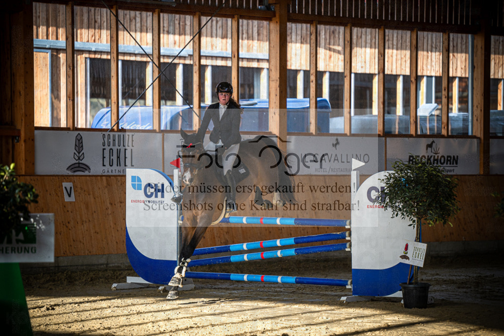 DOS_0470 | Entdecke hochwertige Reitturnierfotos von Foto Oger. Professionell, emotional und authentisch – jetzt Lieblingsmomente im Shop bestellen.Deutschlandweite Turnierfotografie. - Realisiert mit Pictrs.com