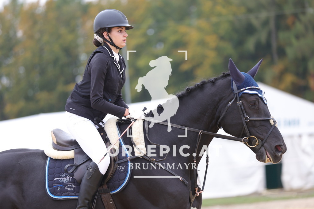 0P6A2189 | Willkommen bei Brunnmayr - Design & Fotografie – Ihrem Spezialisten für Reitturniere und Pferdeveranstaltungen in Oberösterreich, Salzburg und Bayern! Seit über 17 Jahren sind wir leidenschaftlich dabei.