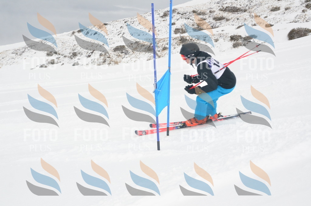 A6204 | holidayphoto