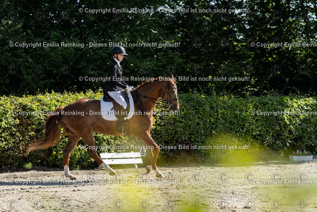 CL5A6904 | Emilia Reinking Fotografie - Realisiert mit Pictrs.com