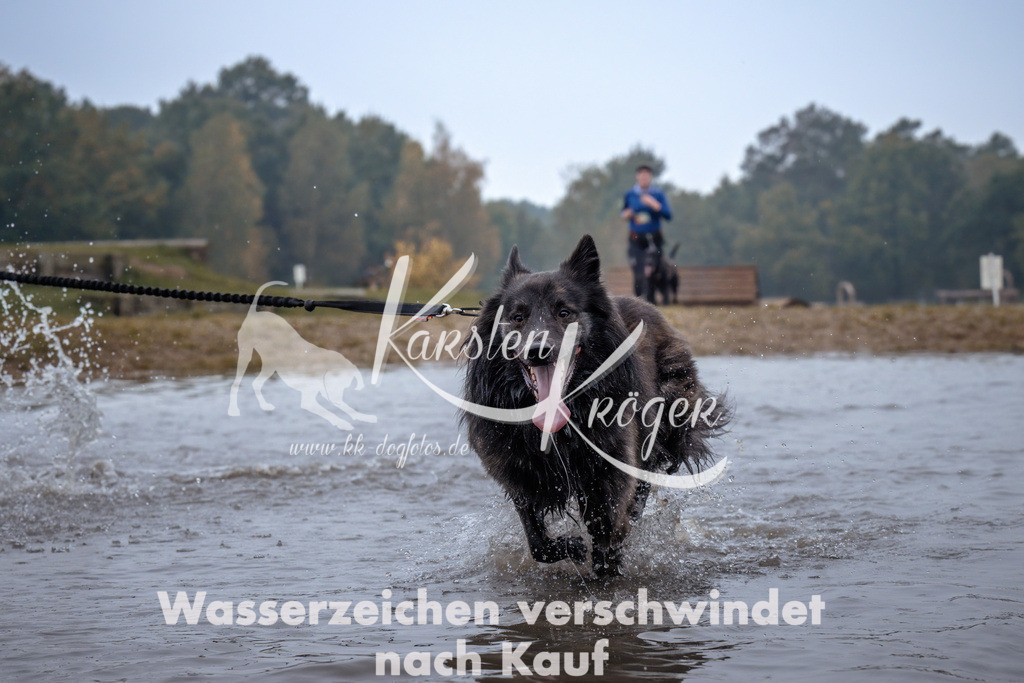 0906_ZZ94249 | kk-dogfotos