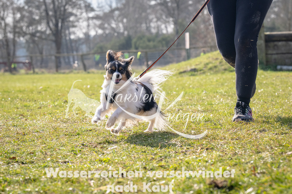 _ZZ91355 | kk-dogfotos