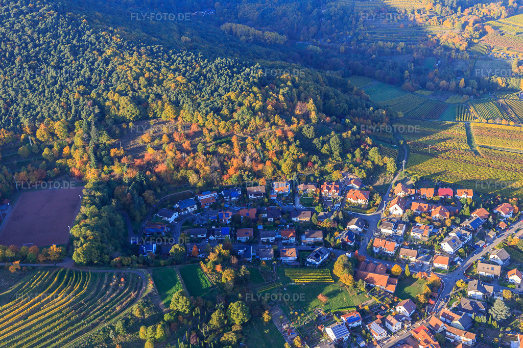 Luftbild: Wohngebiet An d. Zitadelle im Ortsteil SaintMartin in Sankt Martin im Bundesland Rheinland-Pfalz in Deutschland. Foto: IMG_095632.jpg vom 30.10.2016 durch Werner Riehm/FLY-FOTO.de