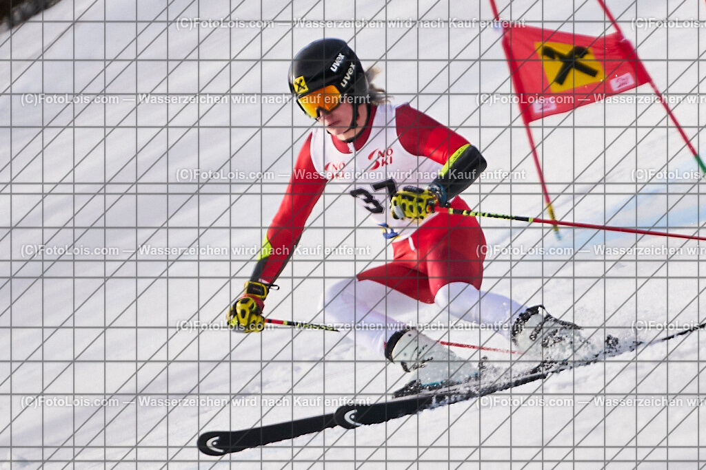 ALP8339_Herrn-FIS-GS-II_Lackenhof-WY_Gstrein Niklas | Internationaler FIS GiantSlalom der Herrn auf der Distelpiste in Lackenhof am Di 11. März 2025.  Österreich, LSV-NÖ, Sportunion Waidhofen/Ybbs (2035).