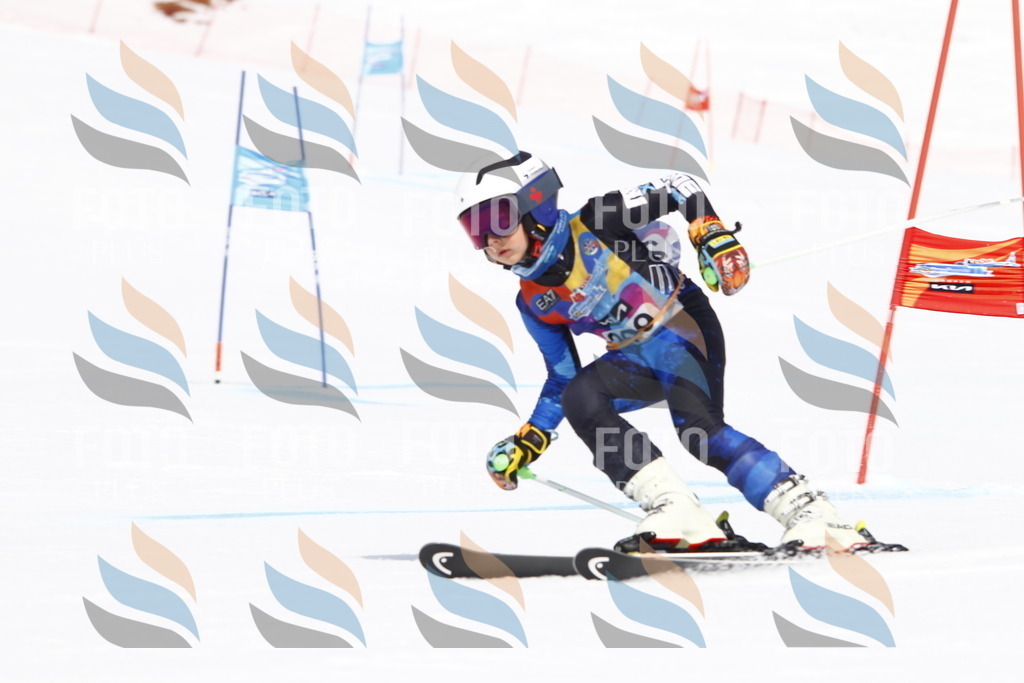 _U3G5399 | holidayphoto