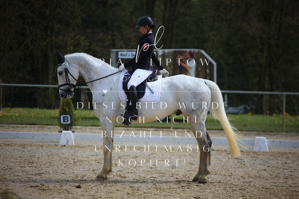 IMGT4784 | pl-fotografie