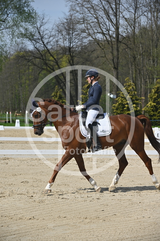 DSC_1126 | sattelsport - Realisiert mit Pictrs.com