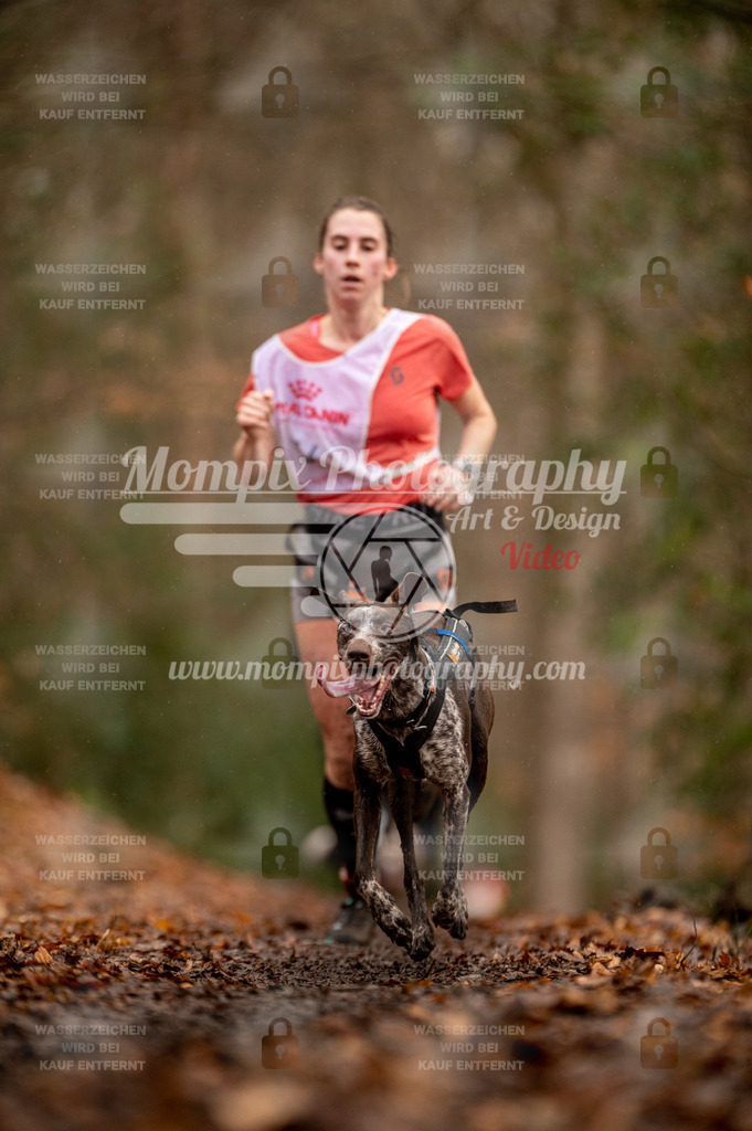 SPA_2023_DIM_CCL-90 | PayLife