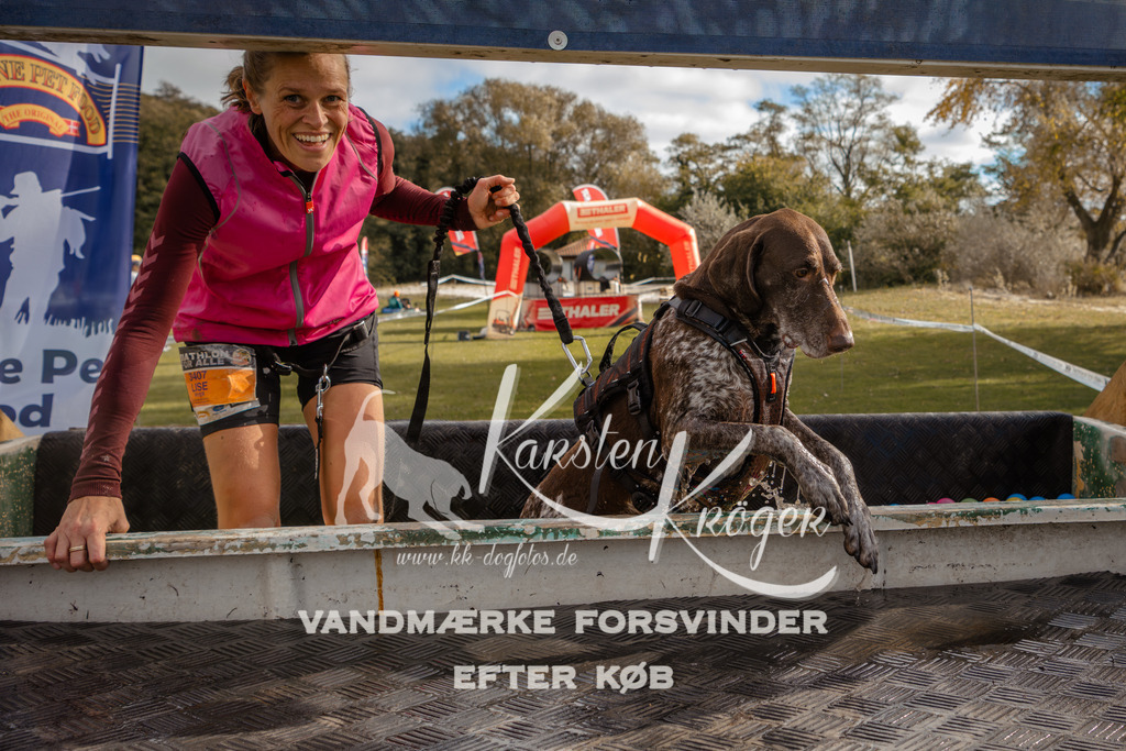 1336_ZZ91578-2 | kk-dogfotos