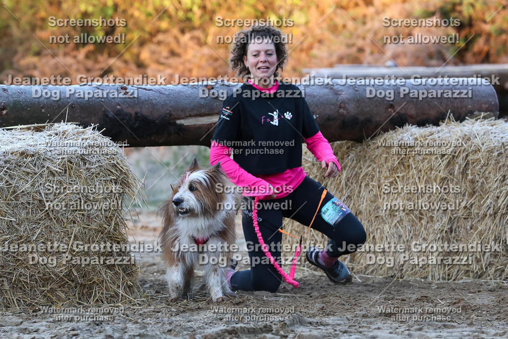 Dog Paparazzi - Strongdog 10-25-401 | Dog Paparazzi Jeanette Grottendiek Fotografie & Videografie - Realisiert mit Pictrs.com