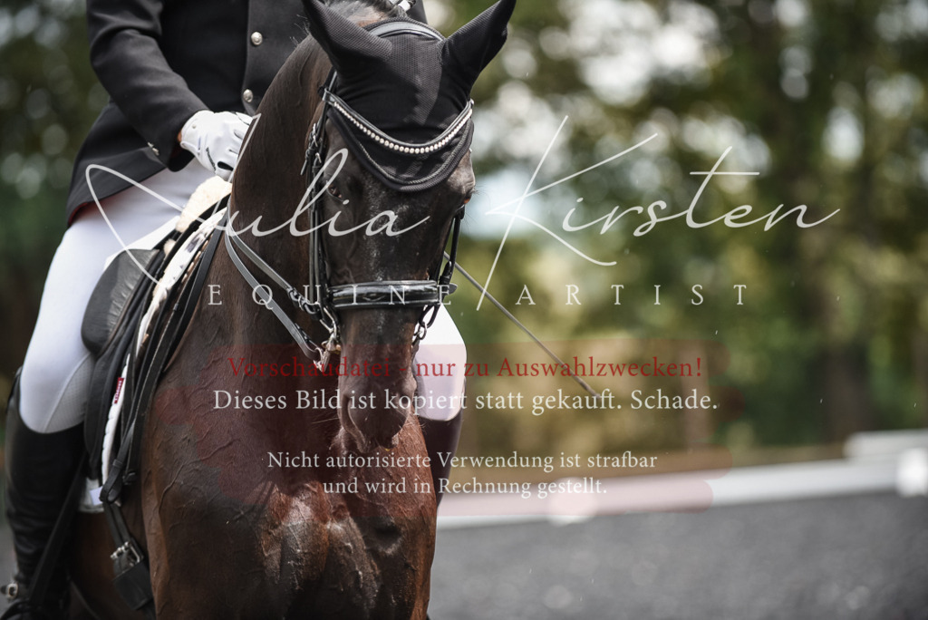 DSC_4955 | Pferde- und Turnierfotografie in Westsachsen. Pferdeportraits, Auftragszeichnungen und intuitive Kunst.