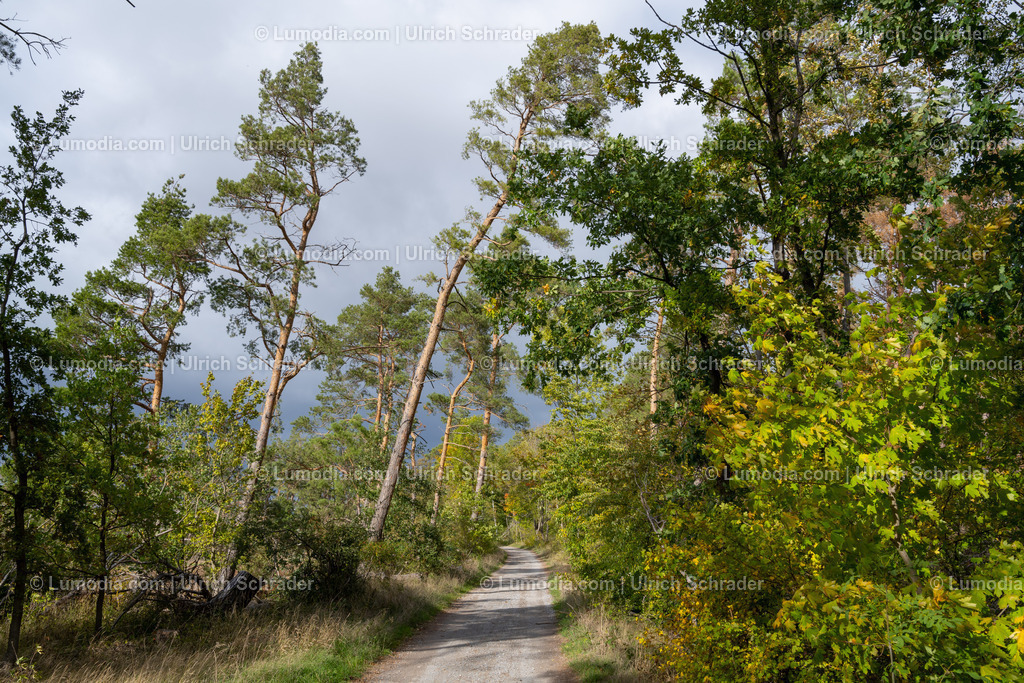 10049-12693 - Halberstädter Thekenberge | Stockfoto und Bilderpool mit Bildmaterial aus Deutschland, dem Harz, Halberstadt, Quedlinburg, Wernigerode und weltweit. Qualitativ hochwertige und professionelle Fotos anschauen und kaufen. - Realisiert mit Pictrs.com