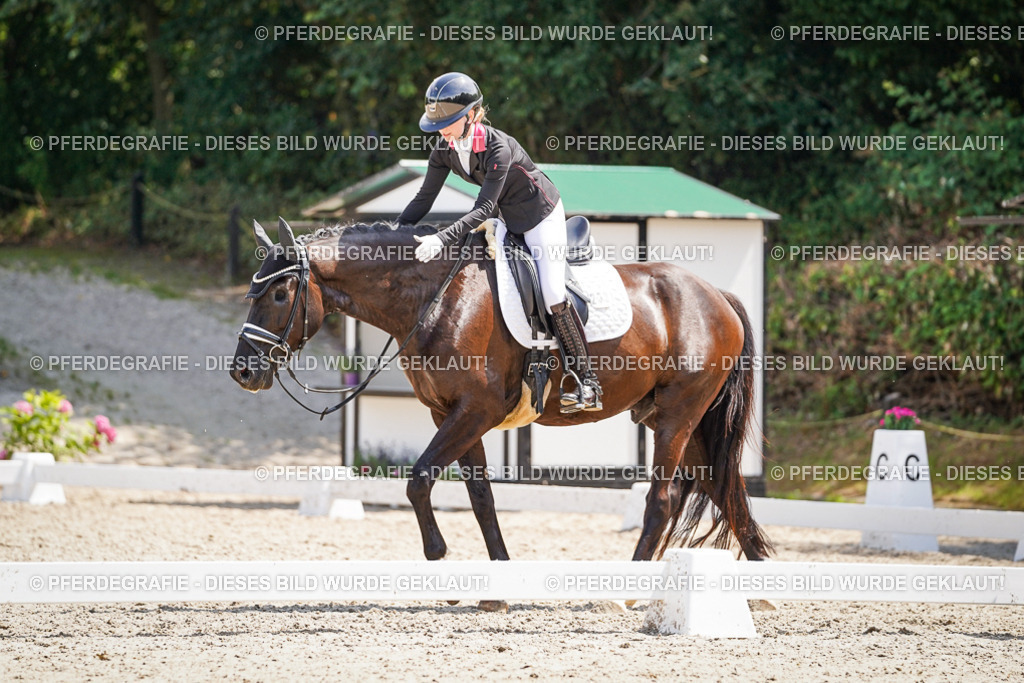 DSC01690 | Pferdegrafie