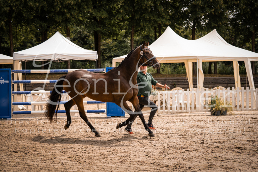 2. Fr00050 | Leoni Ertmer Photography - Realisiert mit Pictrs.com