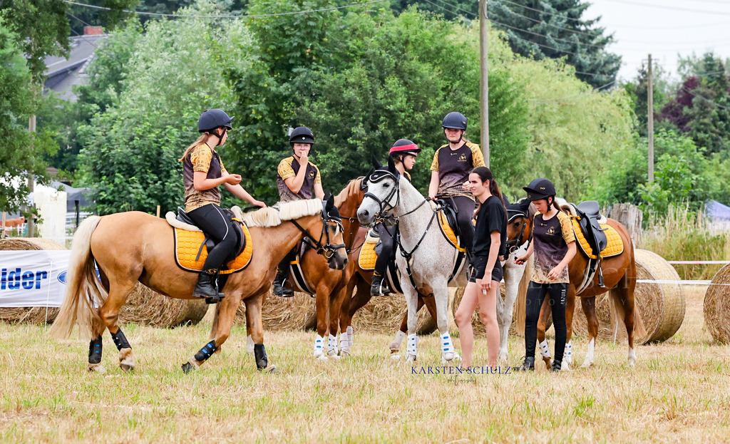 1B3A7104 | Reitsport Reiten