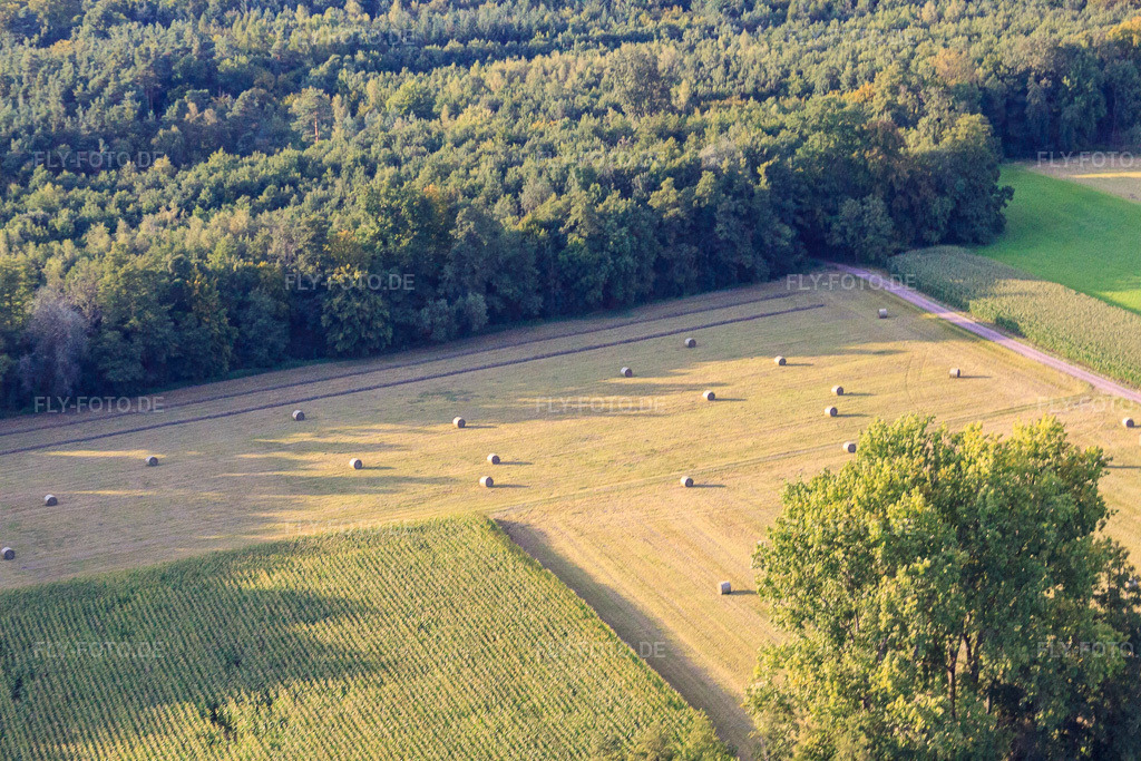 Luftbild: Bruchbach-Otterbachniederung in Kandel im Bundesland Rheinland-Pfalz in Deutschland. Foto: IMG_44277.jpg vom 17.08.2011 durch Werner Riehm/FLY-FOTO.de