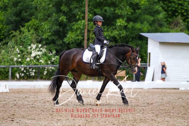 DKP47506 | Turnierfotos kaufen im Webshop von Daniel Kuhl Photography – entdecke professionelle Reitsportfotos aus Turnieren & Events. Hochwertige Turnierbilder online bestellen & sichern. Jetzt Fotos von Reitsportturnieren kaufen!