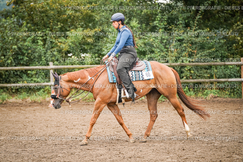 DSC02343 | Pferdegrafie