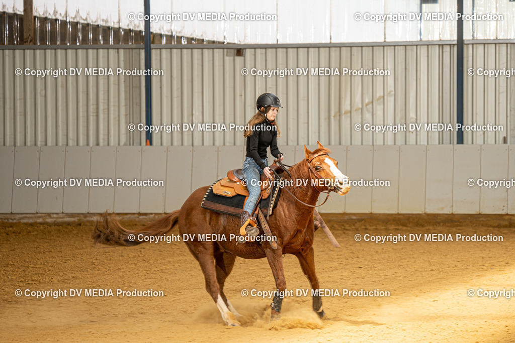 MIT00093 | dv-media-shop - Realisiert mit Pictrs.com