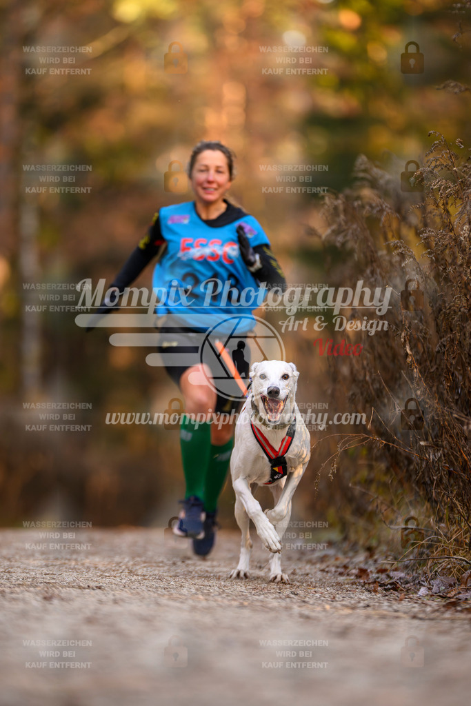 MompixPhotography_DM_AKDM_SO_2025_-51 | PayLife