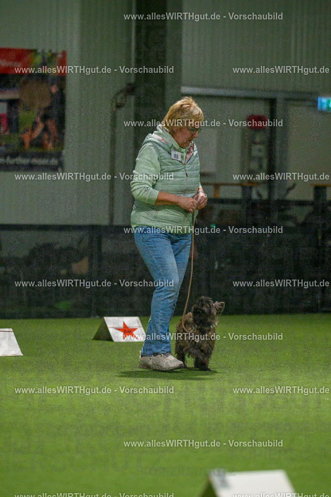 7R508549 | Professionelle Tierfotografie in Mönchengladbach von Daniel Wirth (allesWIRTHgut). Liebevolle & natürliche Bilder von Hunden & Katzen für unvergessliche Erinnerungen.