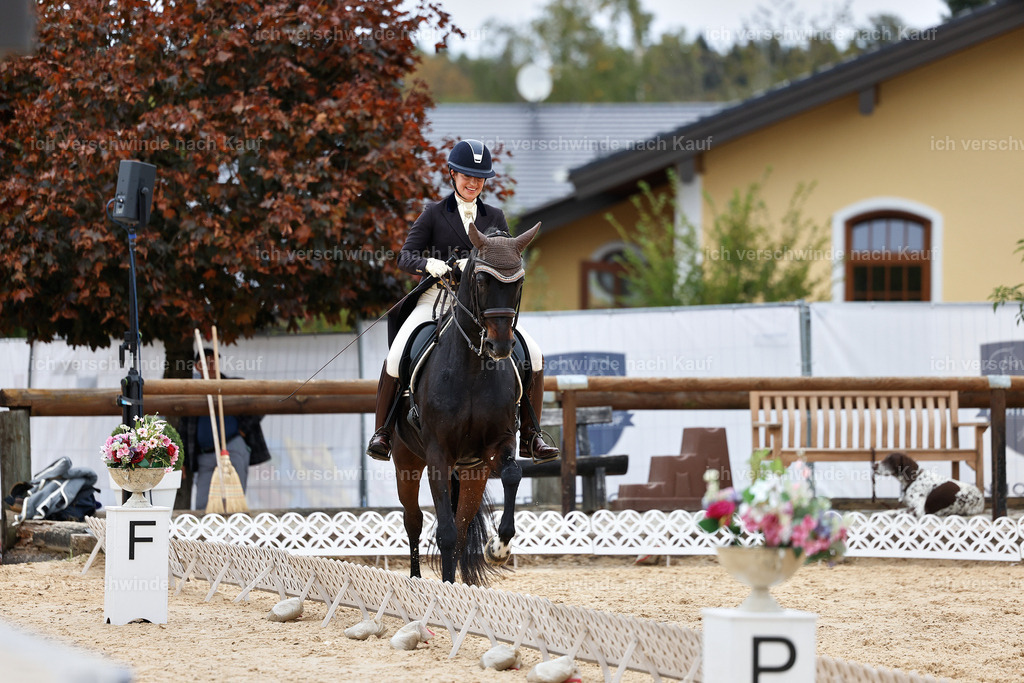 11-191-Dressur S___-StoibPH-902 | working equitationturnier fotograf videograf stoibphotography marixx film working equitation deutschland reitsport turnierfotografie eventfotografie equestrian events