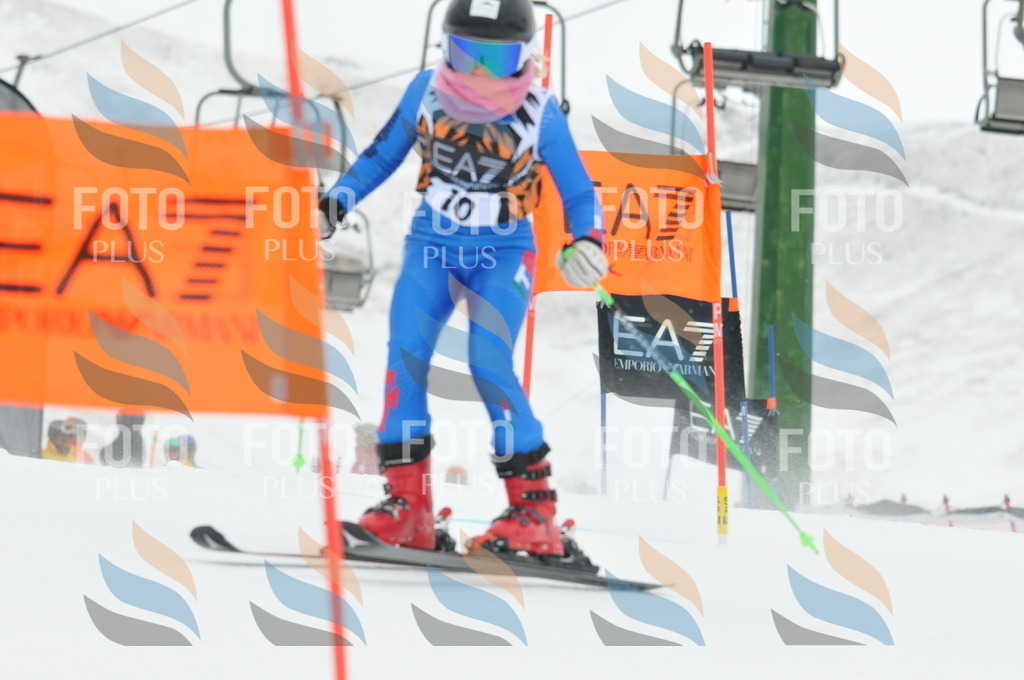 DSC_8784 | holidayphoto