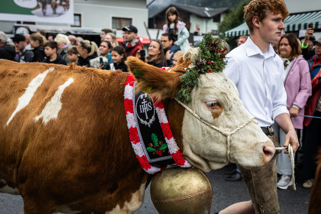 Rupertifest_Flachau_2k25_Webauflösung-160 | Bildershop Chri Fischbacher - Realisiert mit Pictrs.com