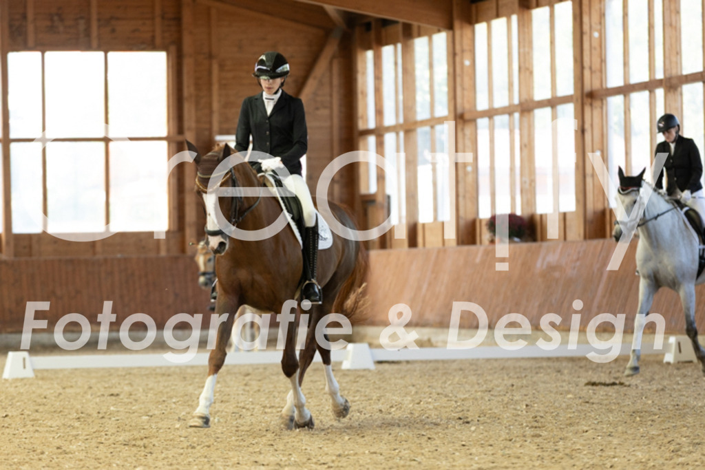 IMG_5250 | Creatify Fotografie