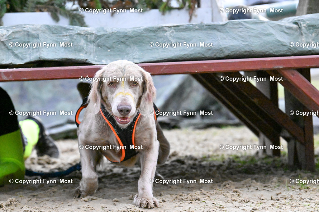 DSC_7370 | Hallo und herzlich Willkommen auf meiner Shop-Seite Fynn Most.

Ich wünsche Dir viel Spaß beim stöbern durch die Bilder, wenn Du Fragen hast oder Bilder vermisst, kannst du mir gerne eine Nachricht schreiben. - Realisiert mit Pictrs.com