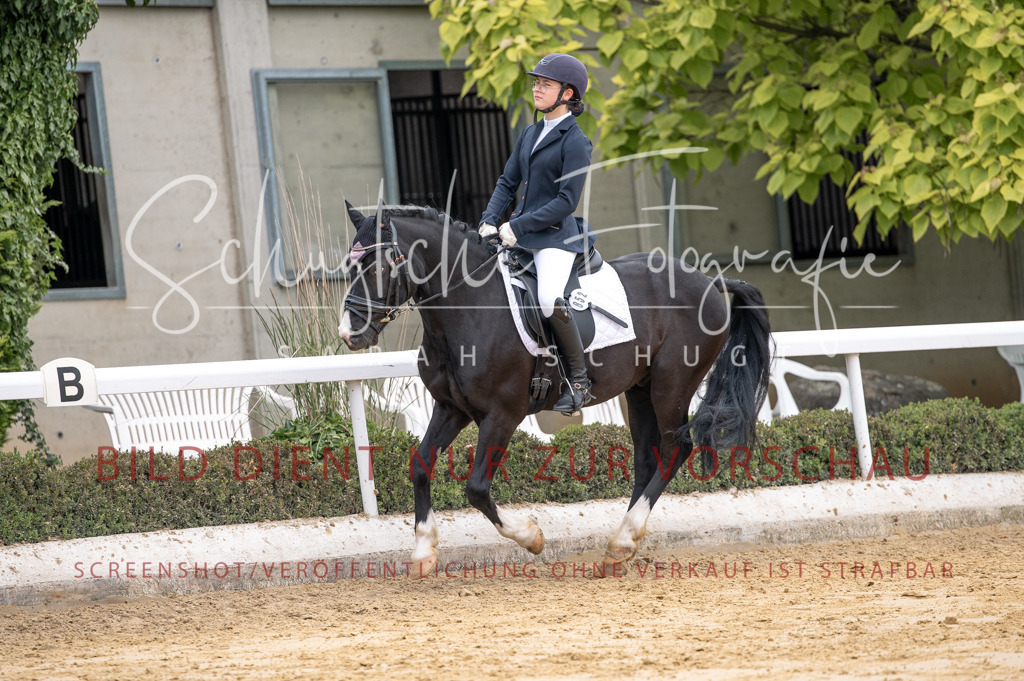 Schugtsche-Aluta25-40.DressurprfA_-462 | Schugtsche Fotografie - Realisiert mit Pictrs.com