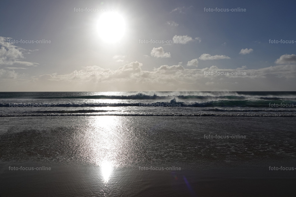 Beach | foto-focus-online