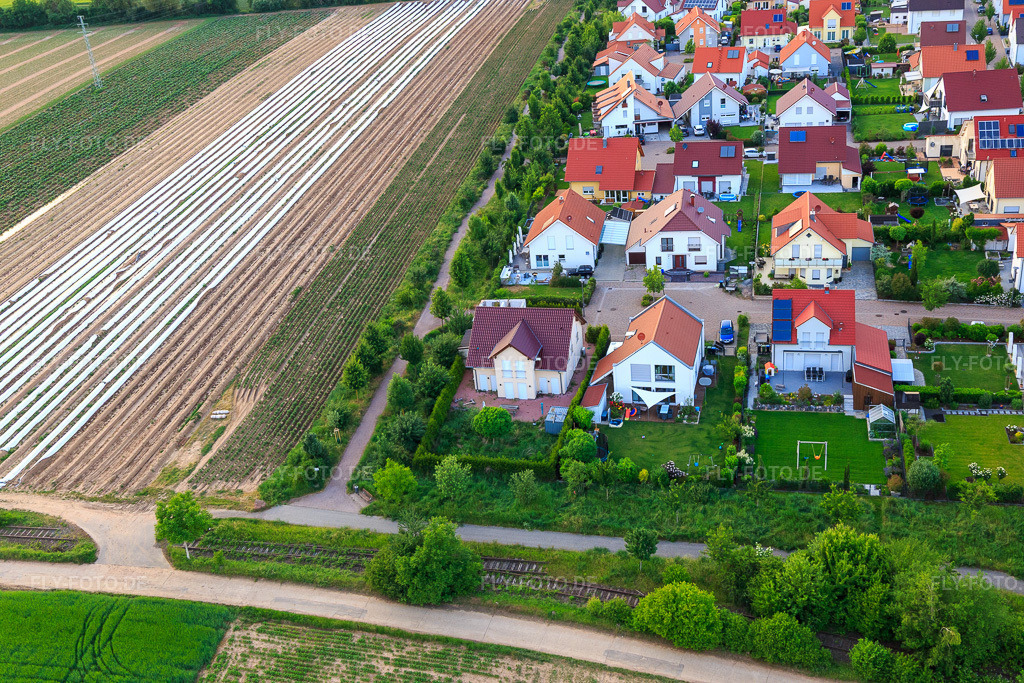 Luftbild: Unteres Rappenfeld im Ortsteil Mörlheim in Landau im Bundesland Rheinland-Pfalz in Deutschland. Foto: IMG_100600.jpg vom 01.06.2017 durch Werner Riehm/FLY-FOTO.de