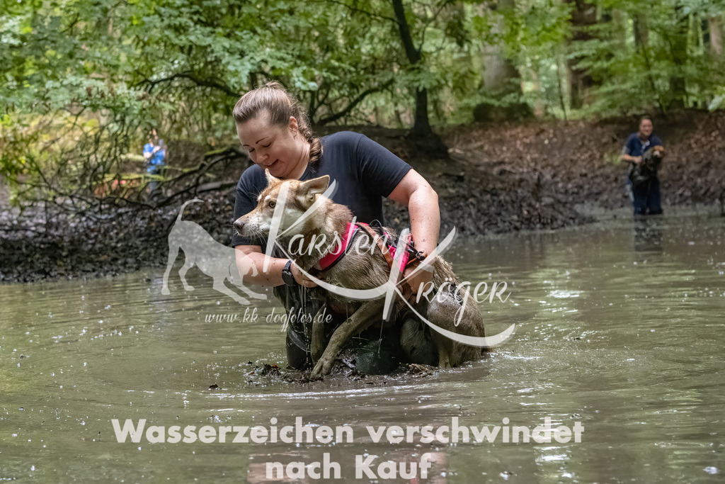 1119_ZZ90585-Bearbeitet-2 | kk-dogfotos