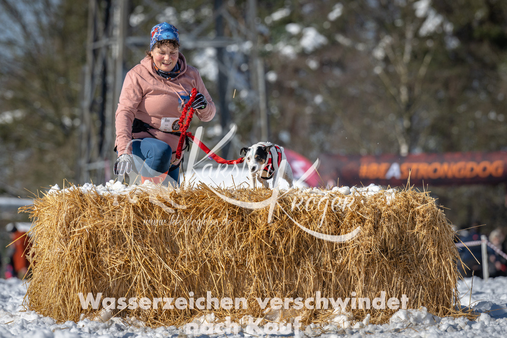 1116_ZZ91024-3 | kk-dogfotos